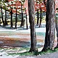 Lost Maples Painting by Frank SantAgata Lost Maples Painting by Frank SantAgata
