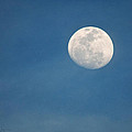 May Moon by Christine Stonebridge May Moon by Christine Stonebridge