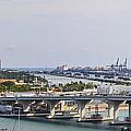 Miami port panorama Photograph by Dejan Jovanovic Miami port panorama Photograph by Dejan Jovanovic