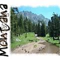 Montana Howdy by Susan Kinney Montana Howdy by Susan Kinney
