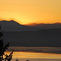 Morning Has Broken by Michael Merry Morning Has Broken by Michael Merry