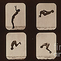 Muybridge Locomotion, Back Somersault Photograph by Photo Researchers