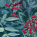Nandina Painting by Frank SantAgata Nandina Painting by Frank SantAgata