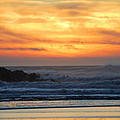 Nature's Paintbrush by Michael Merry Nature's Paintbrush by Michael Merry