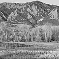 NCAR and Flatiron View Boulder Colorado BW Photograph by James BO Insogna NCAR and Flatiron View Boulder Colorado BW Photograph by James BO Insogna