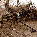 New Englands Garden History Photograph by Kim Galluzzo Wozniak New Englands Garden History Photograph by Kim Galluzzo Wozniak