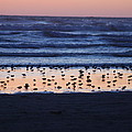 Ocean Sunset by Michael Merry Ocean Sunset by Michael Merry