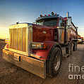 Optimus Photograph by Yhun Suarez Optimus Photograph by Yhun Suarez