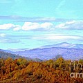 Over the Hills by Amalia Suruceanu Over the Hills by Amalia Suruceanu