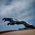 Panther Hoodie by Douglas Pittman Panther Hoodie by Douglas Pittman