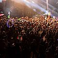 Papadosio at Rootwire Photograph by PJQandFriends Photography