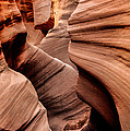 Peek a Boo by Chad Dutson Peek a Boo by Chad Dutson