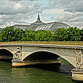 Petit Palace Paris France by Dave Mills Petit Palace Paris France by Dave Mills