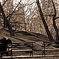 Pondering In Sepia by La Dolce Vita Pondering In Sepia by La Dolce Vita