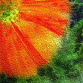 Poppy Painting by Irina Sztukowski Poppy Painting by Irina Sztukowski