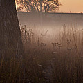 Prairie Pre Dawn by Steve Gadomski Prairie Pre Dawn by Steve Gadomski