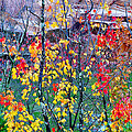Red And Gold In Quarry At Elephant Rocks State Park by Greg Matchick Red And Gold In Quarry At Elephant Rocks State Park by Greg Matchick