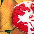 Red White And Yellow Painting by Dan Menta