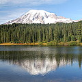 Reflection Lake - Mt. Rainier by Michael Merry Reflection Lake - Mt. Rainier by Michael Merry