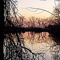 Reflections Photograph by Dorrene BrownButterfield Reflections Photograph by Dorrene BrownButterfield
