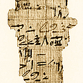 rhind papyrus definition