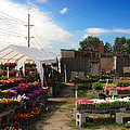 Road Side Stand by Steve Karol Road Side Stand by Steve Karol