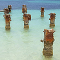 Rusted Iron Pier Dock Photograph by David Letts