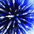 Sapphire Explosion by Jerry Bunger