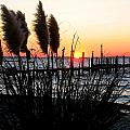 Shoreline Serenity Photograph by Larry Beat Shoreline Serenity Photograph by Larry Beat