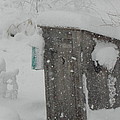 Snow Storm In The Country Photograph by Kim Galluzzo Wozniak Snow Storm In The Country Photograph by Kim Galluzzo Wozniak