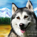 Smiling Siberian Husky  Painting by Michelle Wrighton