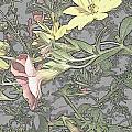 Spring Blossoms In Abstract Photograph by Kim Galluzzo Spring Blossoms In Abstract Photograph by Kim Galluzzo