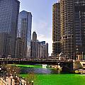 St Patrick's Day Chicago Photograph by Dejan Jovanovic St Patrick's Day Chicago Photograph by Dejan Jovanovic