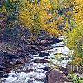 St Vrain Canyon and River Autumn Season Boulder County Colorado Photograph by James BO Insogna St Vrain Canyon and River Autumn Season Boulder County Colorado Photograph by James BO Insogna