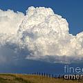 Storm's A Brewin' Photograph by Dorrene BrownButterfield Storm's A Brewin' Photograph by Dorrene BrownButterfield