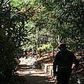 Stroll in the Shadows by Seth Weaver Stroll in the Shadows by Seth Weaver
