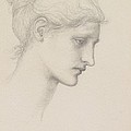 Study For Laus Veneria by Sir Edward Burne Jones Study For Laus Veneria by Sir Edward Burne Jones