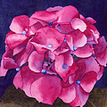 Summer Hydrangea Painting by Ken Powers Summer Hydrangea Painting by Ken Powers