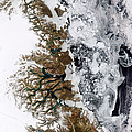 Summer Thaw, Greenland Photograph by Science Source Summer Thaw, Greenland Photograph by Science Source