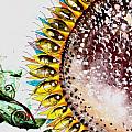 Sunflower Fish 3 Painting by J Vincent Scarpace Sunflower Fish 3 Painting by J Vincent Scarpace