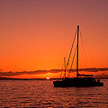 Sunset Silhouettes by Alina Oswald Sunset Silhouettes by Alina Oswald