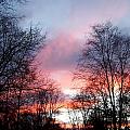 The Beauty Of Fall Photograph by Kim Galluzzo The Beauty Of Fall Photograph by Kim Galluzzo