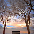 The Bench In The Winter by Tara Turner The Bench In The Winter by Tara Turner
