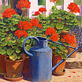 The Blue Watering Can by Anthony Rule The Blue Watering Can by Anthony Rule
