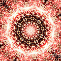 The Explosion by Donna Brown The Explosion by Donna Brown