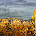 The Golden Glow II by Saija Lehtonen The Golden Glow II by Saija Lehtonen