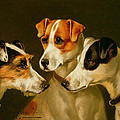 The Hounds Painting by Alfred Wheeler The Hounds Painting by Alfred Wheeler