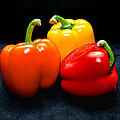 The Three Peppers Photograph by Christopher Holmes The Three Peppers Photograph by Christopher Holmes