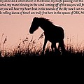 The words of a Wild Filly Photograph by Kim Galluzzo Wozniak The words of a Wild Filly Photograph by Kim Galluzzo Wozniak