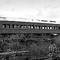 This Old Train Has Seen Better Days . Black And White . 7d8994 by Wingsdomain Art and Photography This Old Train Has Seen Better Days . Black And White . 7d8994 by Wingsdomain Art and Photography